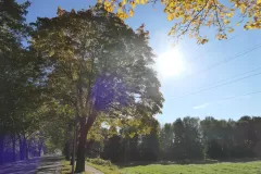 Gellep-Stratum will nach vorn